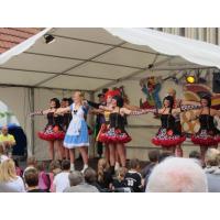 Strassen-_und_Hoffest 2014_152.jpg